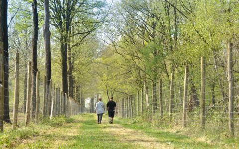 MAATREGELEN IN HET KADER VAN STORM EUNICE
