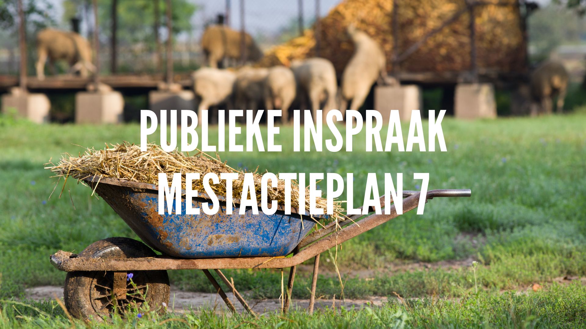 PUBLIEKE INSPRAAK PLAN-MER MESTACTIEPLAN 7