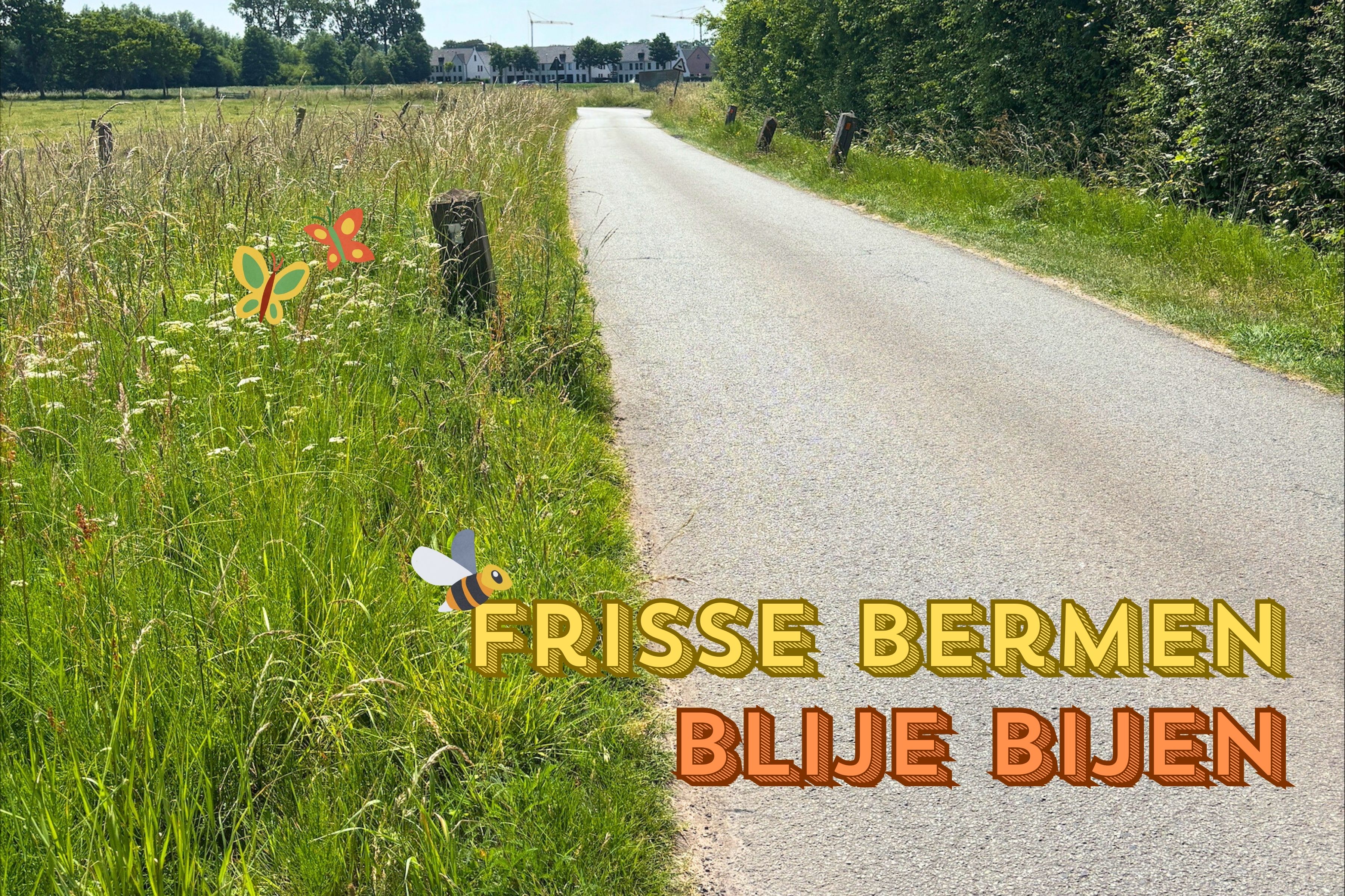 FRISSE BERMEN, BLIJE BIJEN