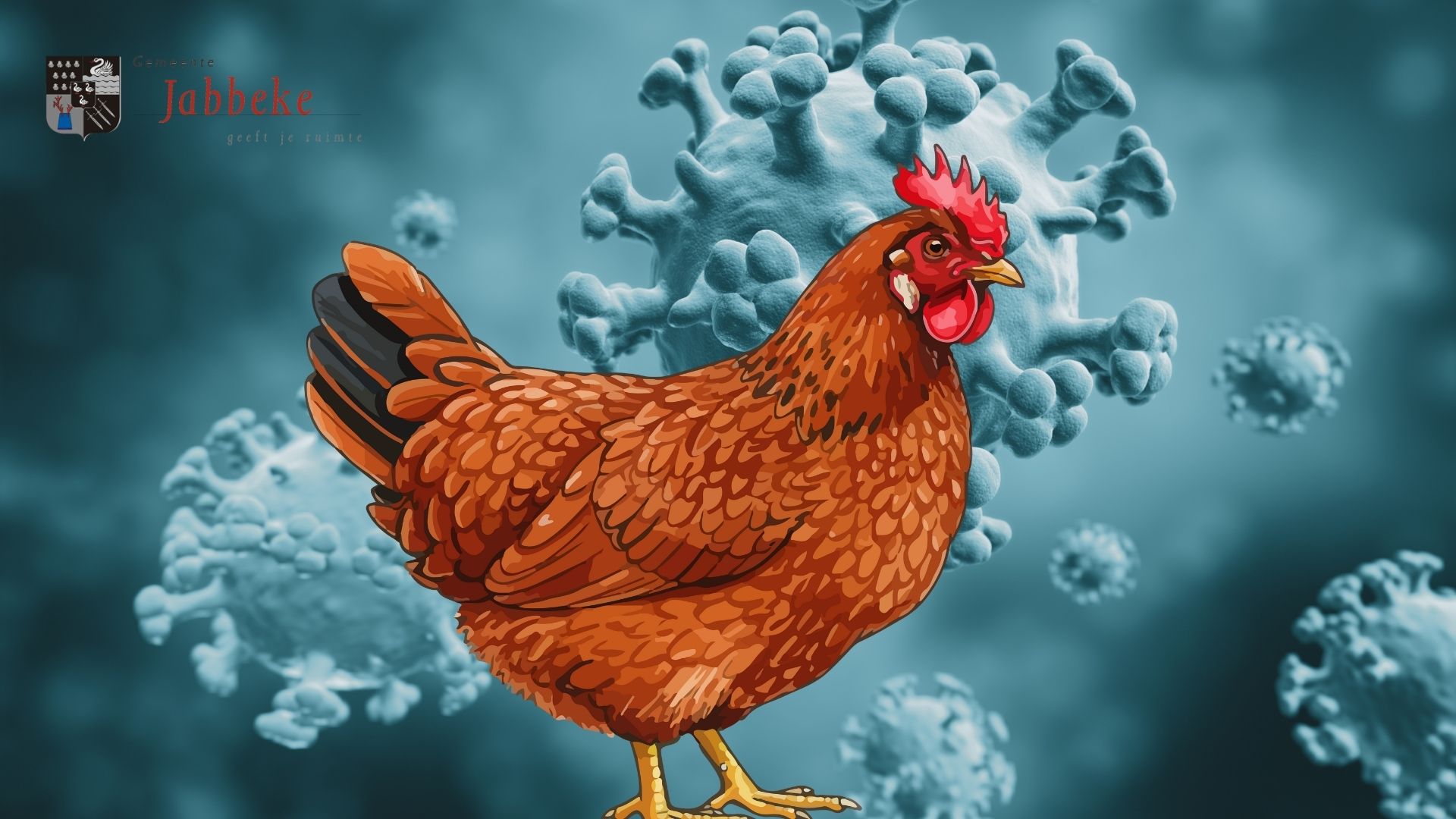 NATUURNIEUWSFLASH - VOGELGRIEP IN VLAANDEREN